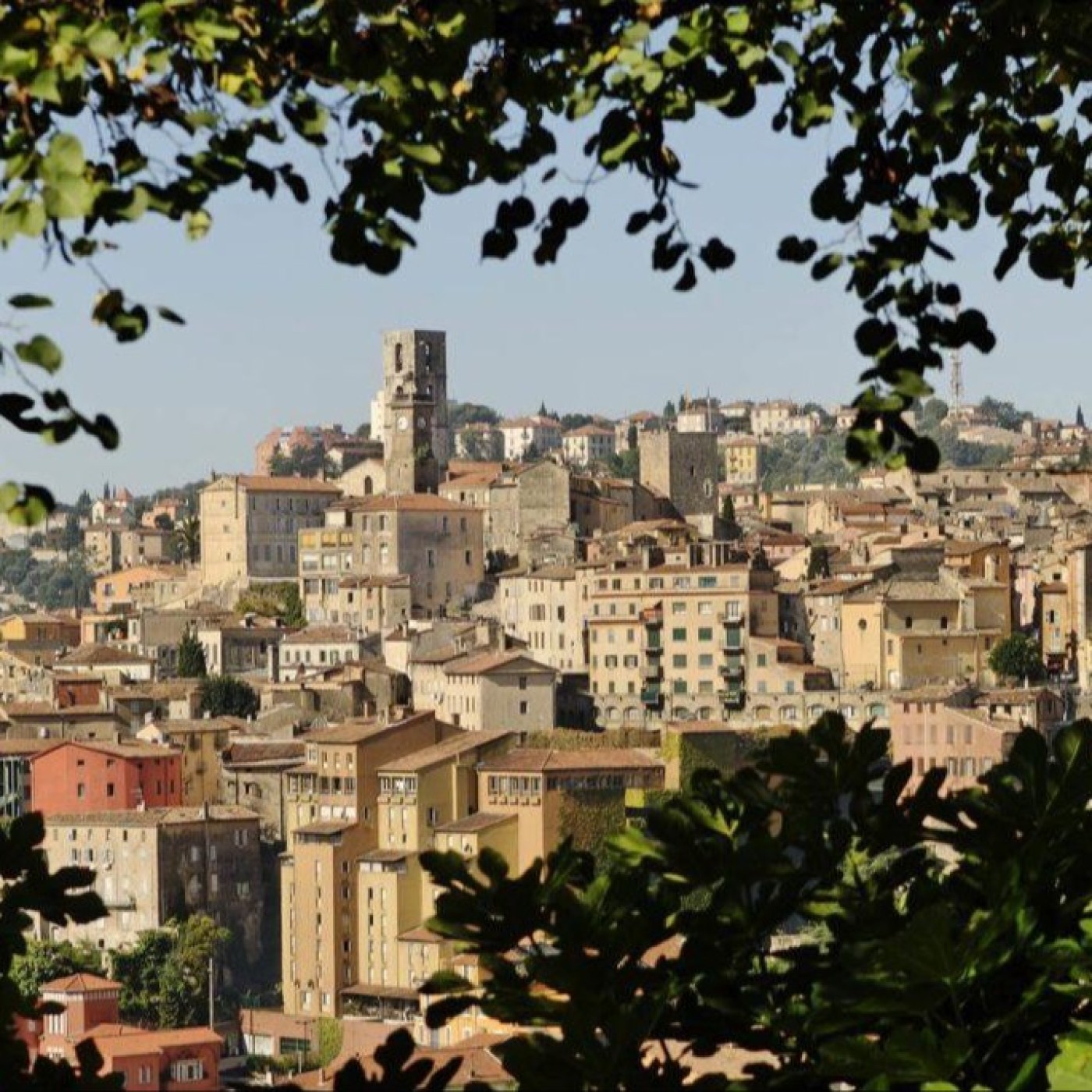 Semaine spéciale Côte d'Azur - Pays de Grasse episode artwork