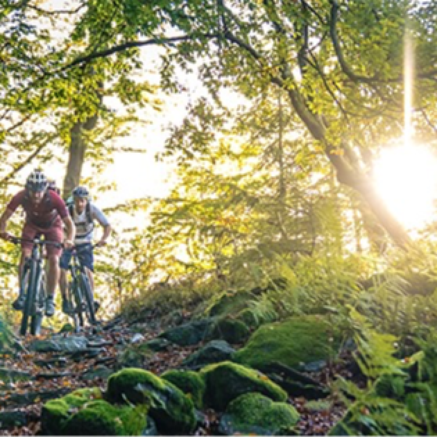 Le parcours VTT Stoneman Arduenna fait des heureux episode artwork