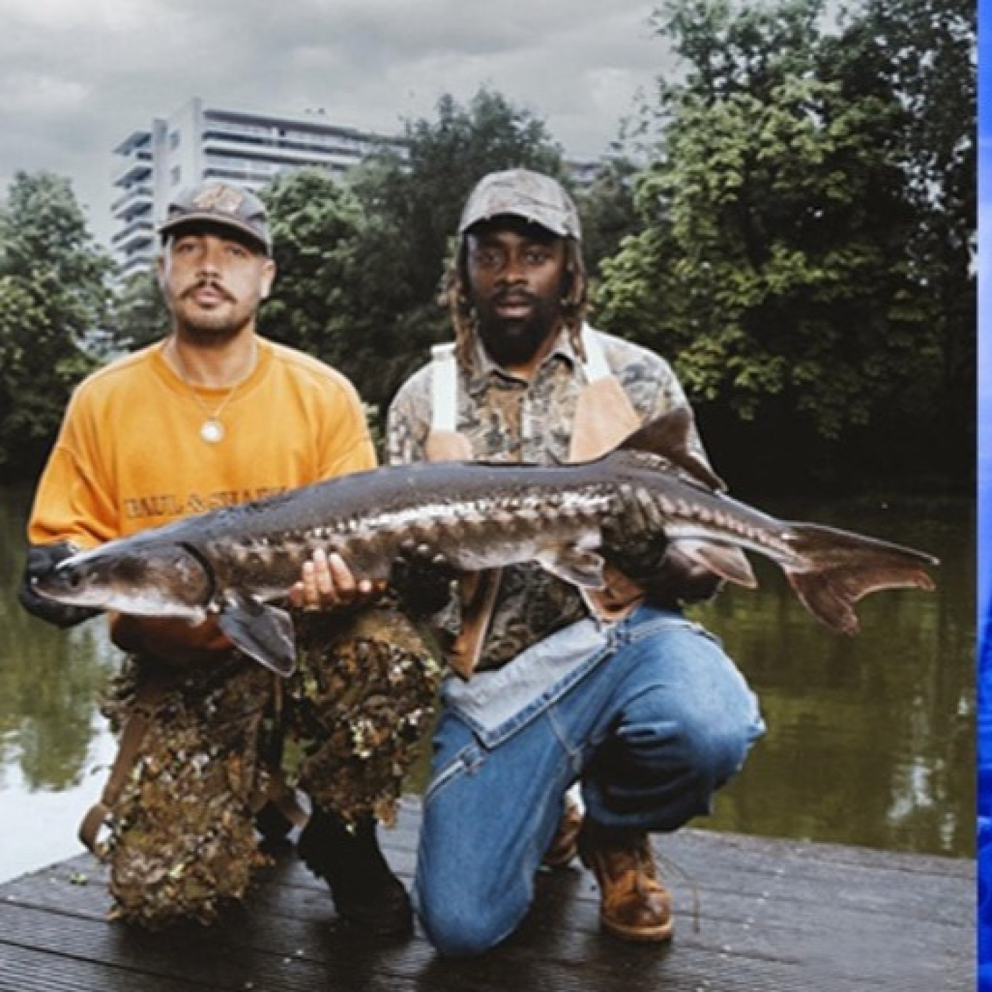 Du Break à la Prose