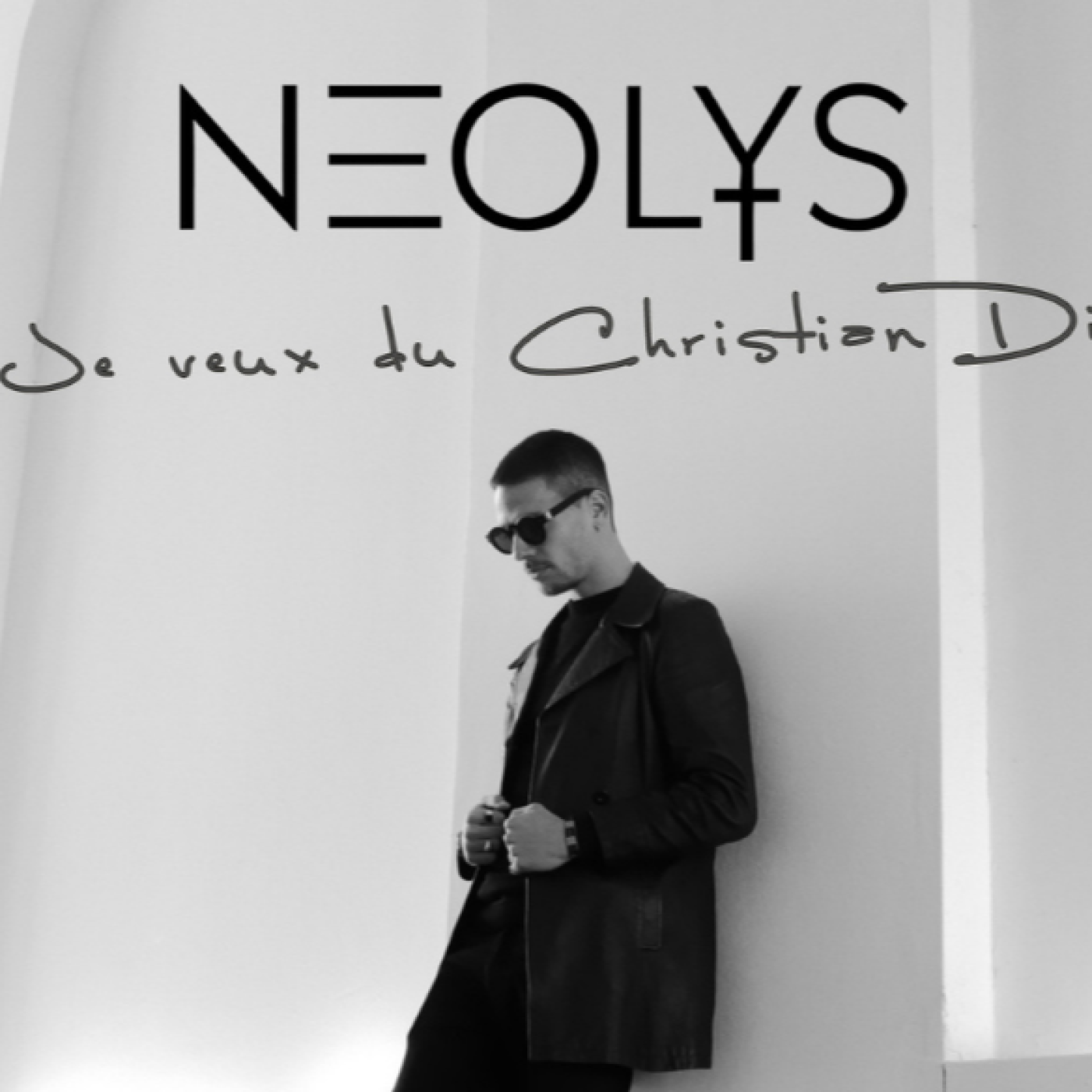 Neolys episode artwork