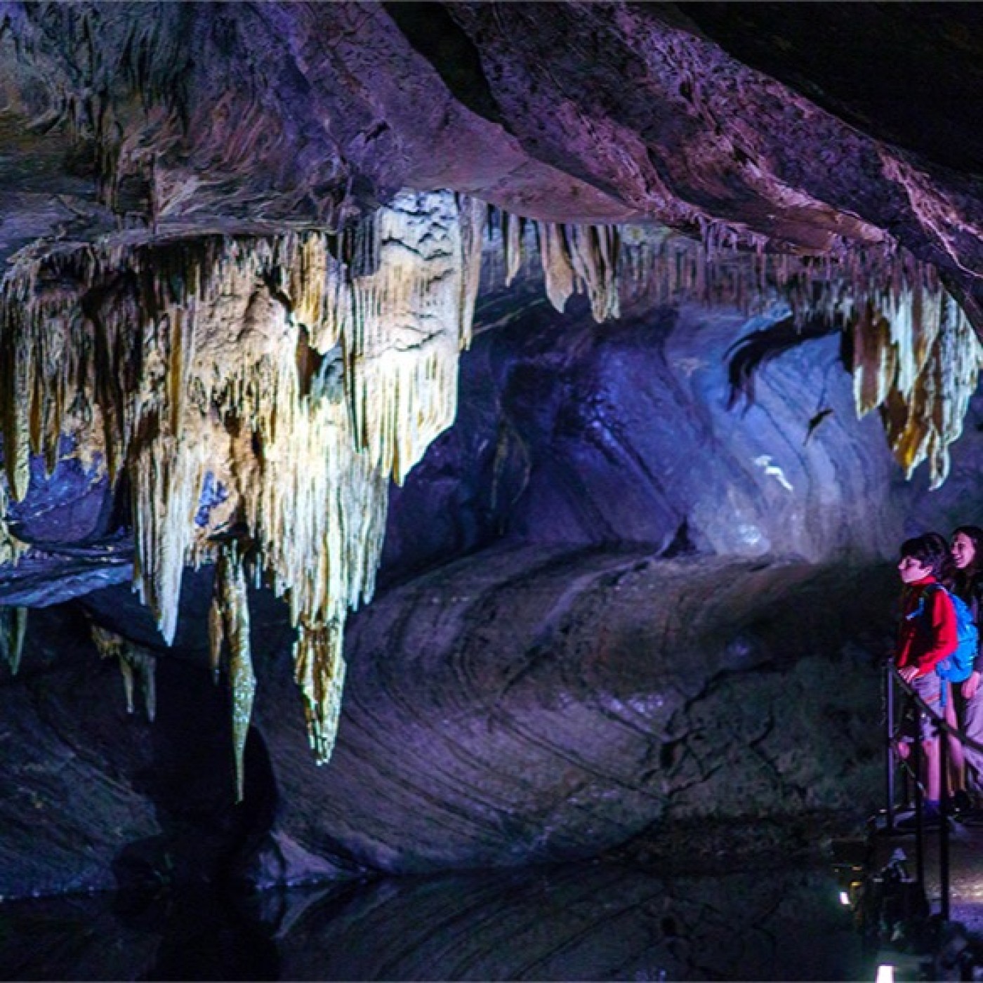 Les Grottes de Han vous offrent un voyage au centre de la terre episode artwork