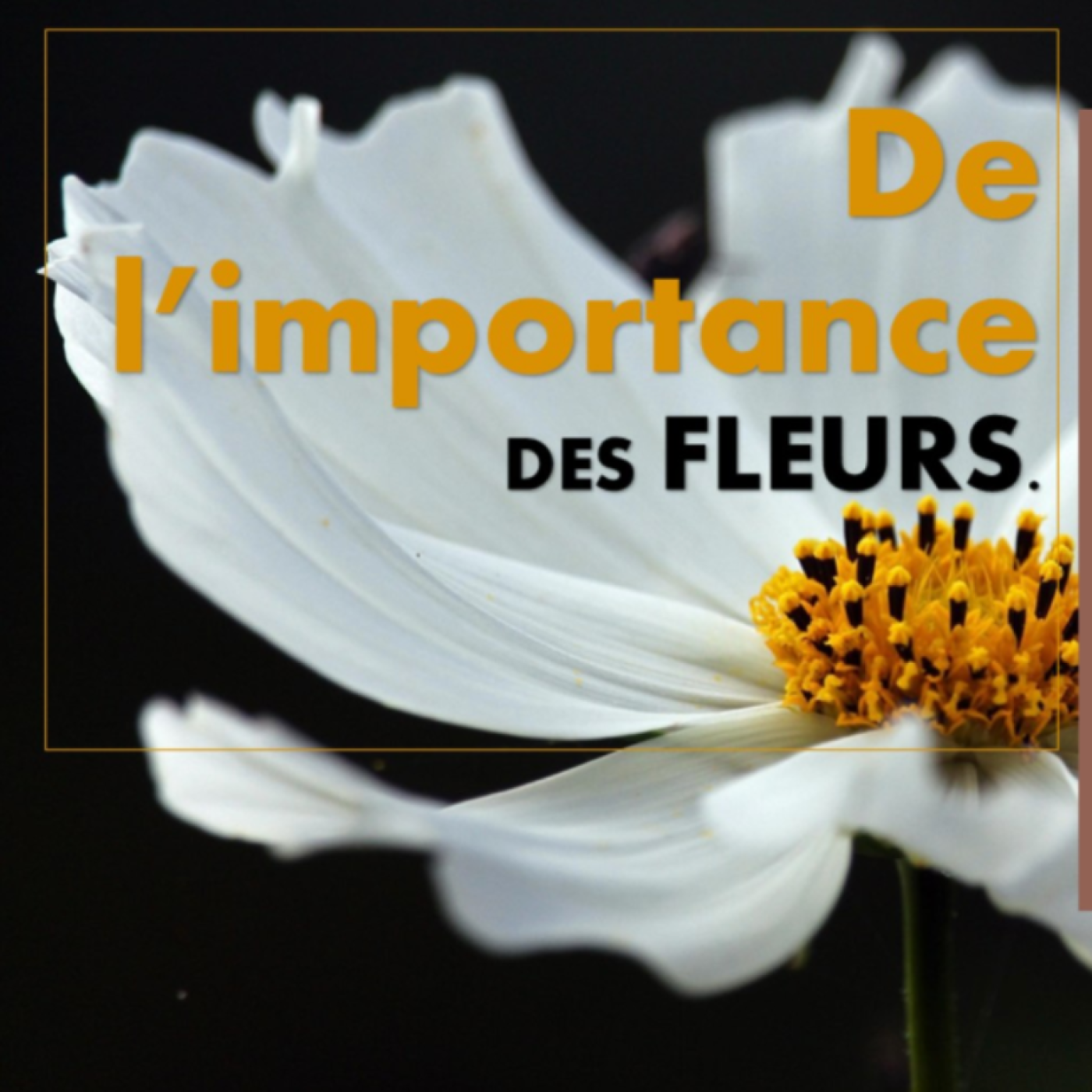 Le Bar à Pep\'s